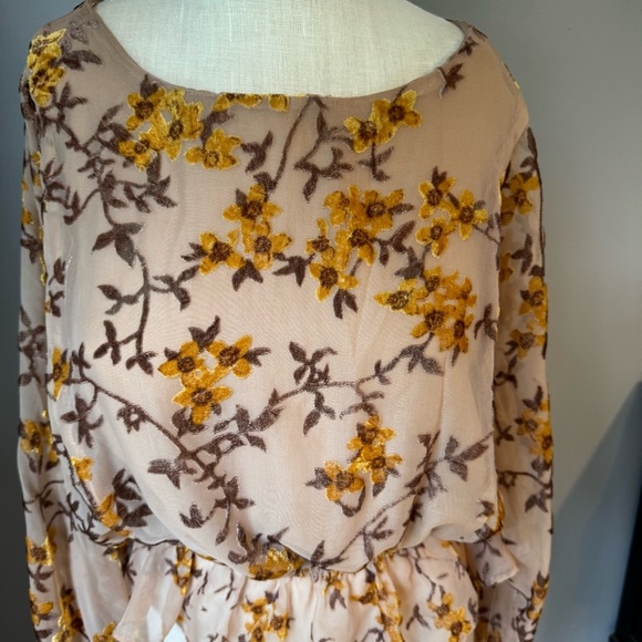 Storia Women’s Lined Tan Velvet Burnout Floral Cinched Waist Peasant Blouse Sz S - Picture 4 of 10